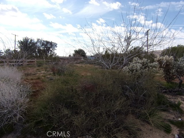 Desert Air Road Joshua Tree, CA, 92252 | Beautiful Photos Desert Air Road