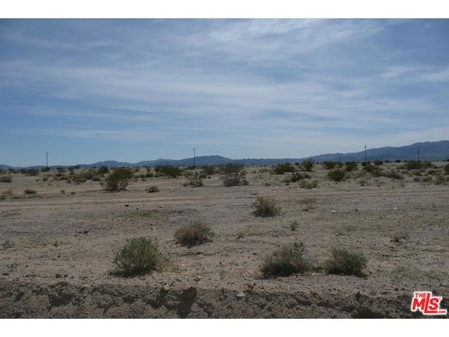 Wilson, 29 Palms, CA, 92277 Wilson