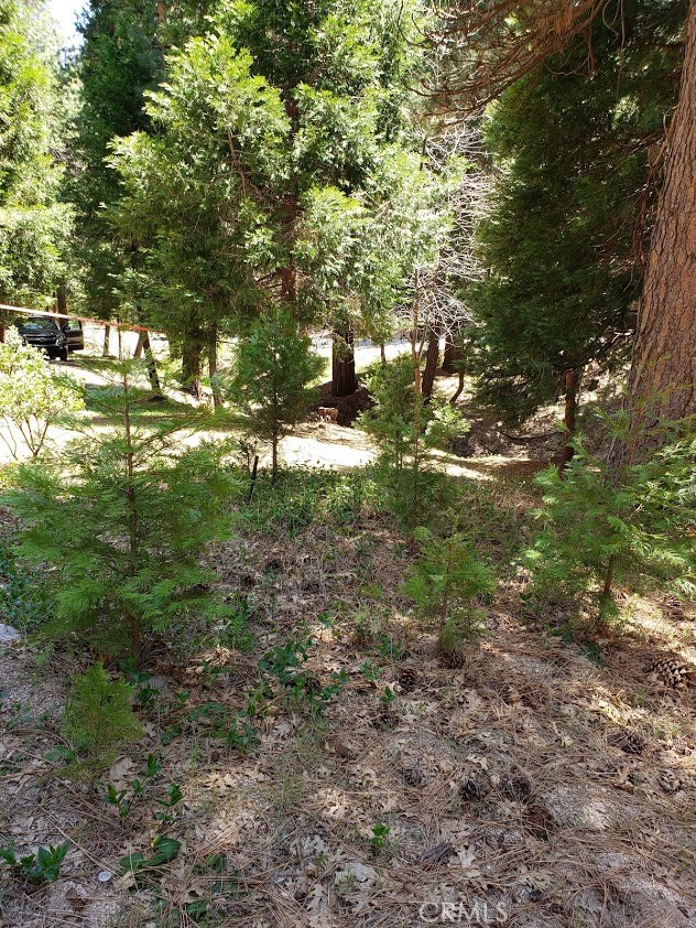 Hook Creek Road, Cedar Glen, CA, 92321 Hook Creek Road