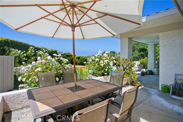 Rear patio