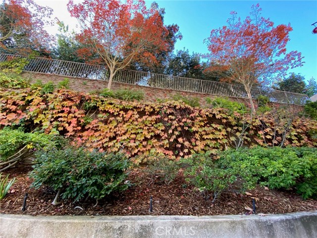 Beautiful Terraced Landscaping maintained by the HOA.