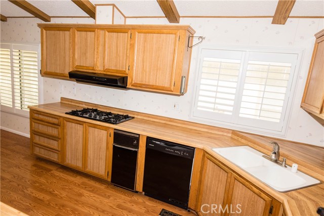 29010 Calle Del Buho