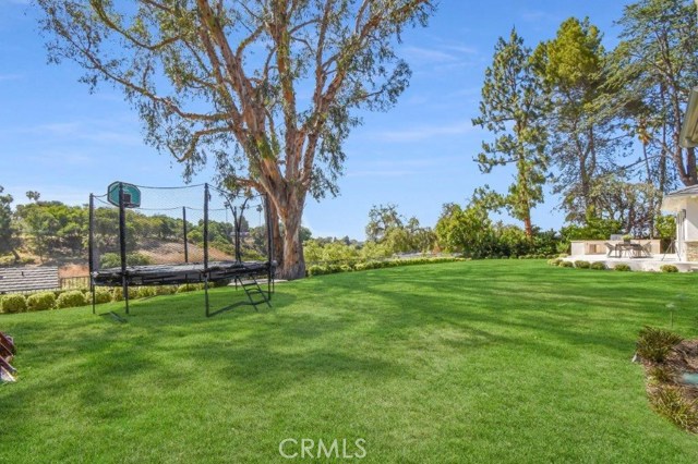 Huge Grassy Backyard