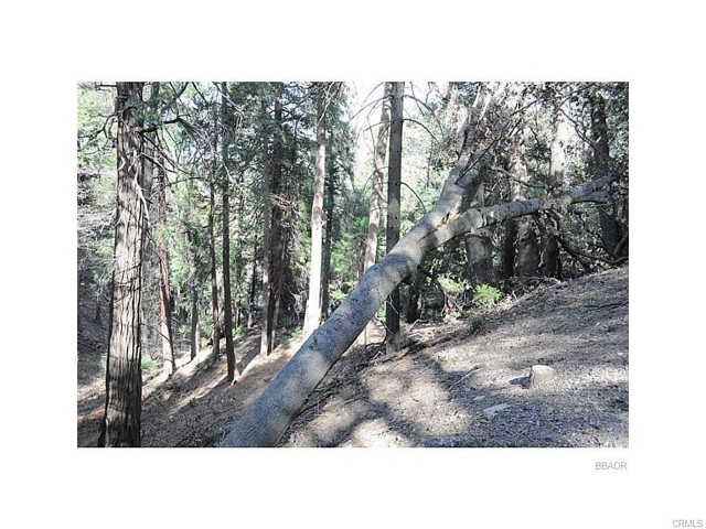 Detail Gallery Image 1 of 1 For 0 Mojave River Rd, Cedarpines Park,  CA 92322 - – Beds | – Baths