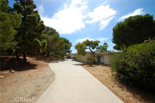 Property has lots of mature trees.