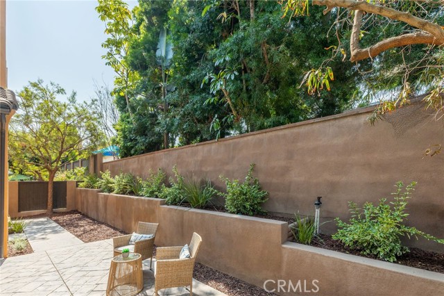 sundrenched back yard