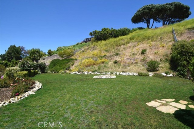 Huge Grassy Side Yard Huge Grassy Side Yard