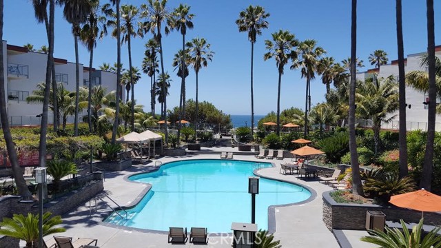 Large Resort Style Pool Overlooks the Ocean Large Resort Style Pool Overlooks the Ocean