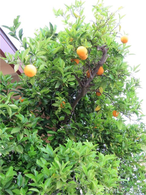 29214 Trotwood Avenue, Rancho Palos Verdes, California 90275, 4 Bedrooms Bedrooms, ,1 BathroomBathrooms,Residential,Sold,Trotwood,SB18056338