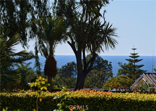 Zoomed in peek-a-boo blue ocean view from backyard!