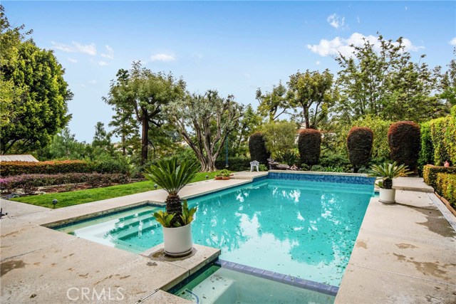 Pool and spa with rose garden in the distance