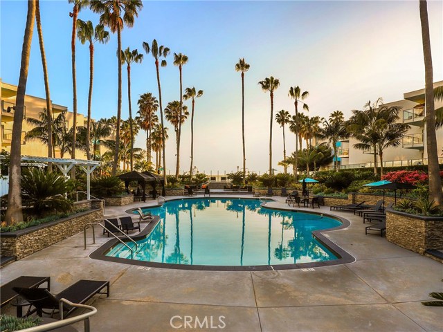 Lovely Pool and amenities at the Ocean Club!