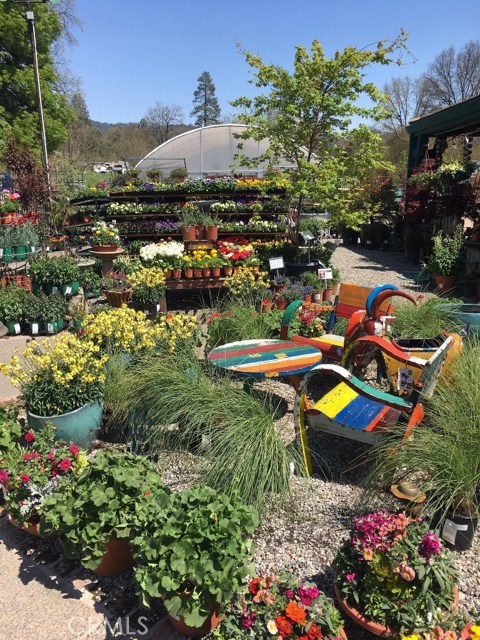 Golden Oak, 93644, ,Commercial,For Sale,Golden Oak,FR20186354