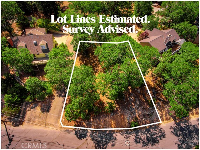 1393 Sequoia Drive