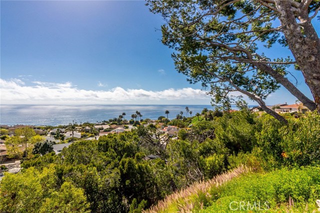 30229 Via Victoria, Rancho Palos Verdes, California 90275, 3 Bedrooms Bedrooms, ,2 BathroomsBathrooms,Residential,Sold,Via Victoria,PV19066034