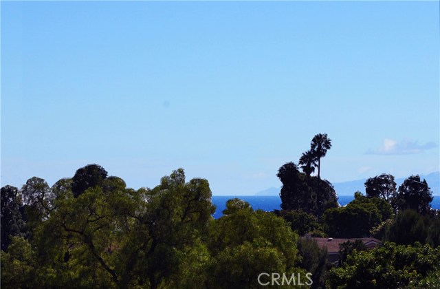 Partial Ocean View from the House