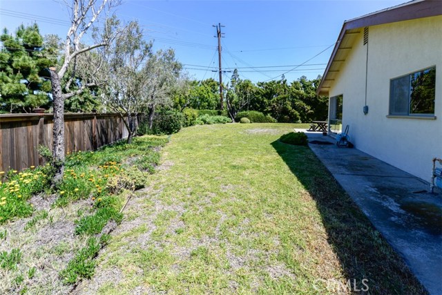 Side yard view - Left side (facing back)