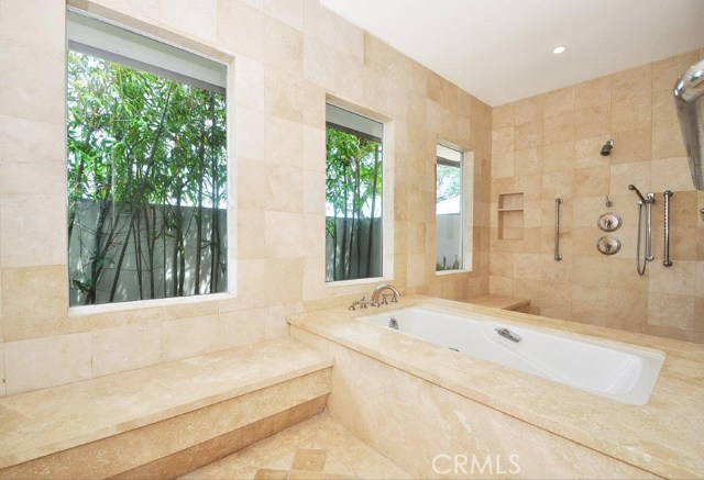 Master Shower/Tub