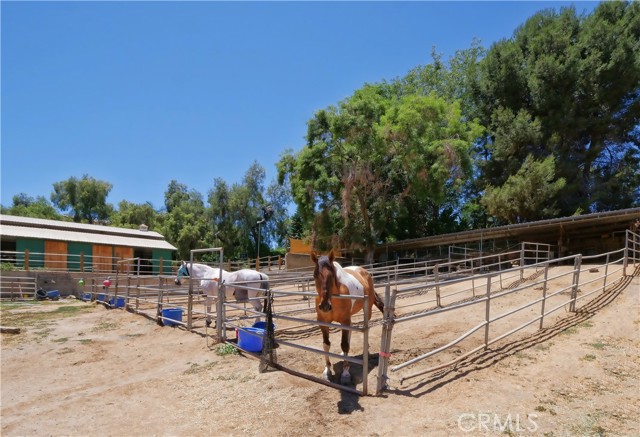 26811 Eastvale Road, Palos Verdes Peninsula, California 90274, 5 Bedrooms Bedrooms, ,2 BathroomsBathrooms,Residential,Sold,Eastvale,SB21137760