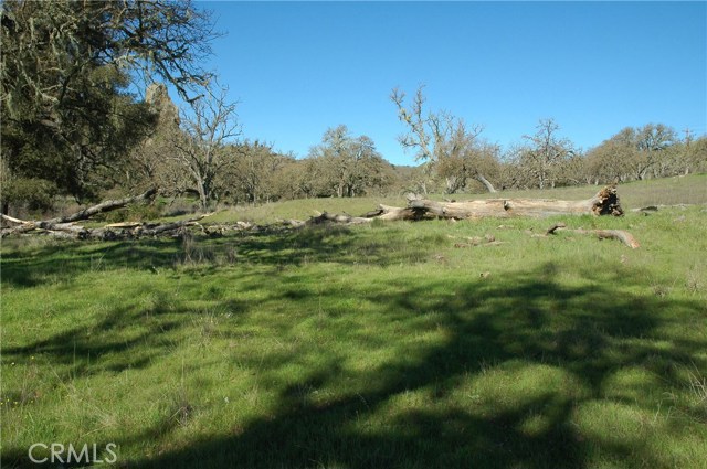 0 Nacimiento Lake Drive, 93446, ,For Sale,Nacimiento Lake,NS19046760