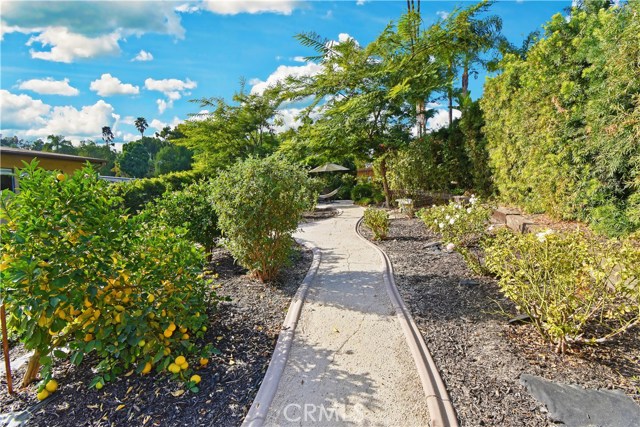 26800 Rolling Hills Road, Rolling Hills Estates, California 90274, 6 Bedrooms Bedrooms, ,4 BathroomsBathrooms,Residential,Sold,Rolling Hills,PV20257537