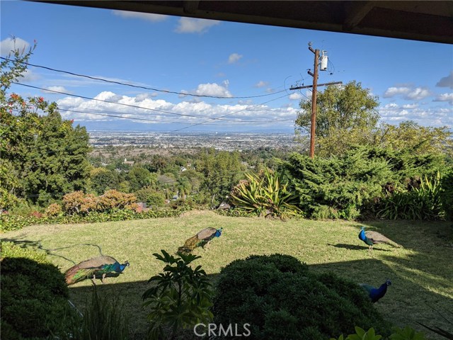 27341 Eastvale Road, Palos Verdes Peninsula, California 90274, 3 Bedrooms Bedrooms, ,2 BathroomsBathrooms,Residential,Sold,Eastvale,SB20045403