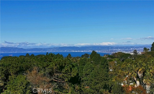 Coastline and Queen's Necklace Views