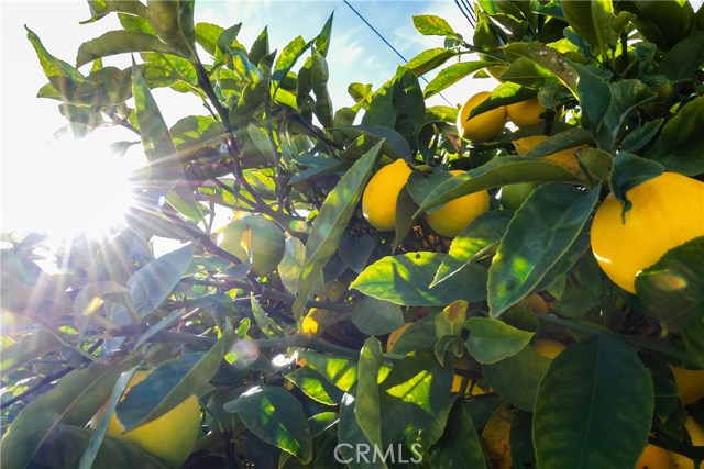 1521 Steinhart Avenue, Redondo Beach, California 90278, 3 Bedrooms Bedrooms, ,2 BathroomsBathrooms,Residential,Sold,Steinhart,SB20000560