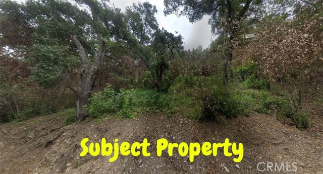  Land for Sale in Santa Paula, California