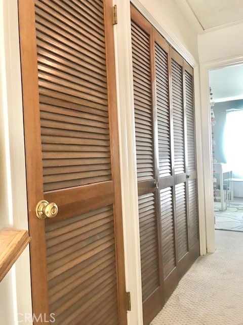 Washer/Dryer area also there are plenty of closets for storage.