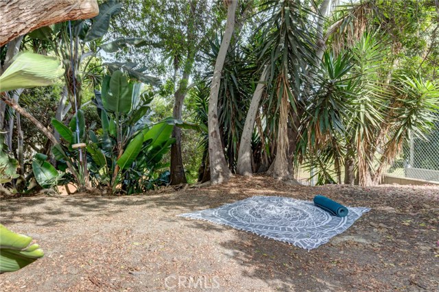 Direct access to adjacent Live Oak park