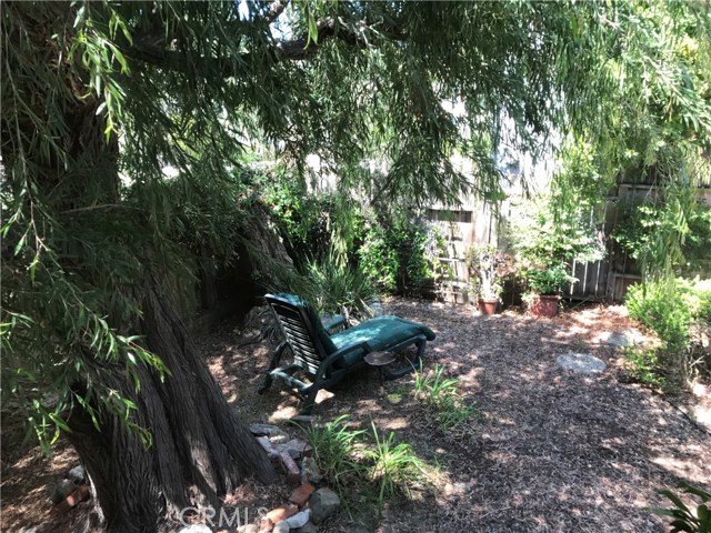 Serene rear yard under large tree