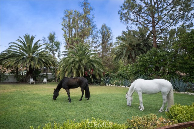 3524 Lariat Lane, Rolling Hills Estates, California 90274, 5 Bedrooms Bedrooms, ,2 BathroomsBathrooms,Residential,Sold,Lariat,PV18117413