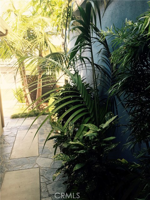 1632 Van Horne Lane, Redondo Beach, California 90278, 3 Bedrooms Bedrooms, ,2 BathroomsBathrooms,Residential,Sold,Van Horne,SB18211629