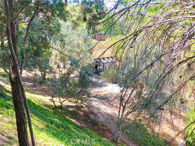 Home from wooded hill above Home from wooded hill above