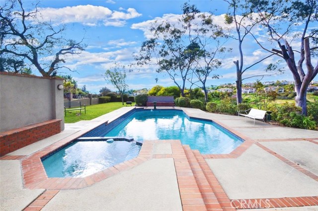 Pool & Spa in Backyard