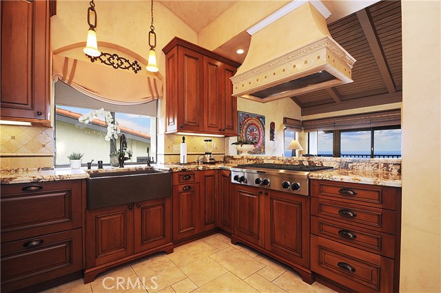 Top of the line kitchen opens to the family room.