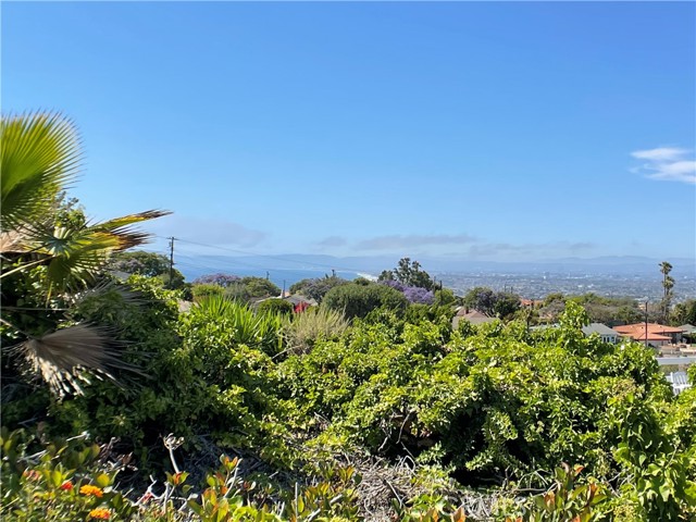 Ocean View from Backyard