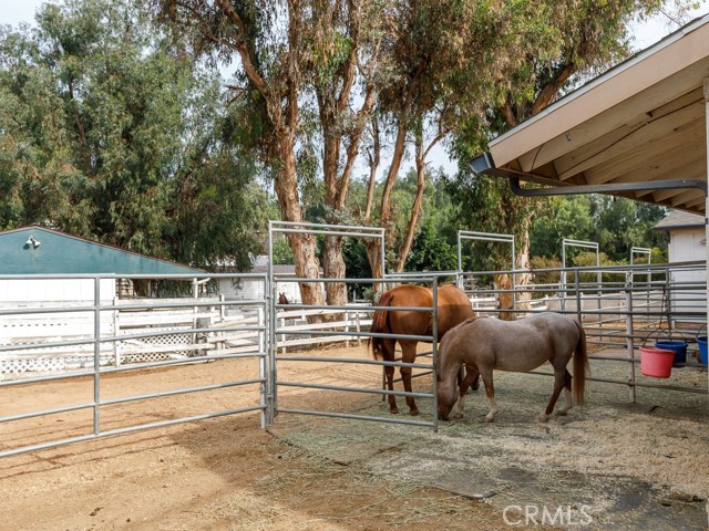 6 Dapplegray Lane, Rolling Hills Estates, California 90274, 5 Bedrooms Bedrooms, ,4 BathroomsBathrooms,Residential,Sold,Dapplegray,PV17257298