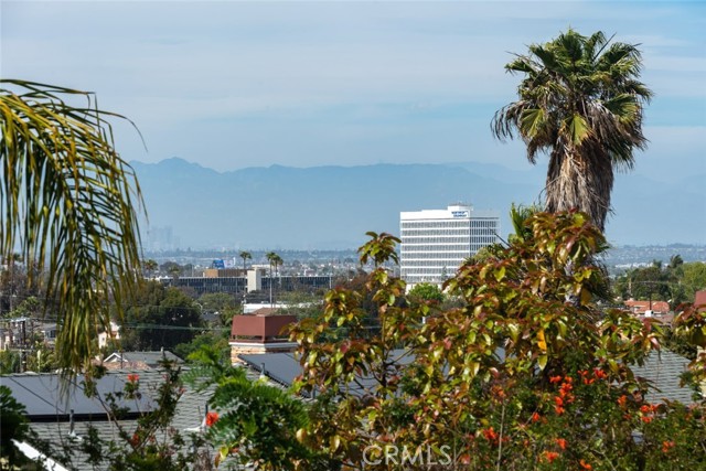 LA city view