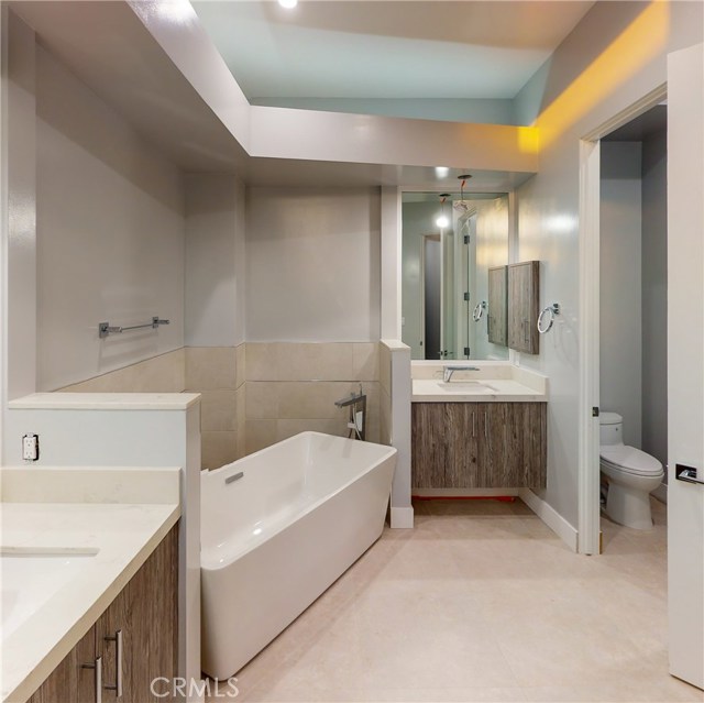 ALTERNATIVE VIEW OF MASTER BATH WITH PRIVATE WATER CLOSET