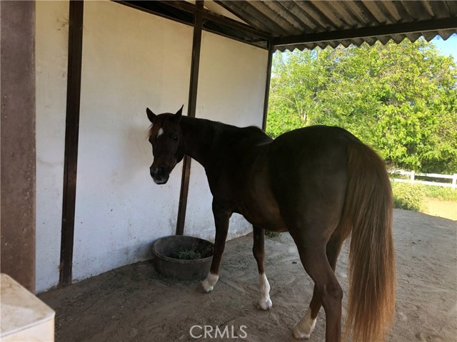 4748 Ferncreek Drive Drive, Rolling Hills Estates, California 90274, 4 Bedrooms Bedrooms, ,2 BathroomsBathrooms,Residential,Sold,Ferncreek Drive,PV19139305