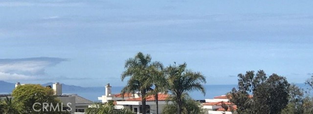 Ocean & Catalina View