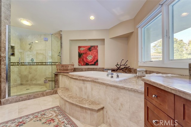 Master Bathroom Shower and Tub