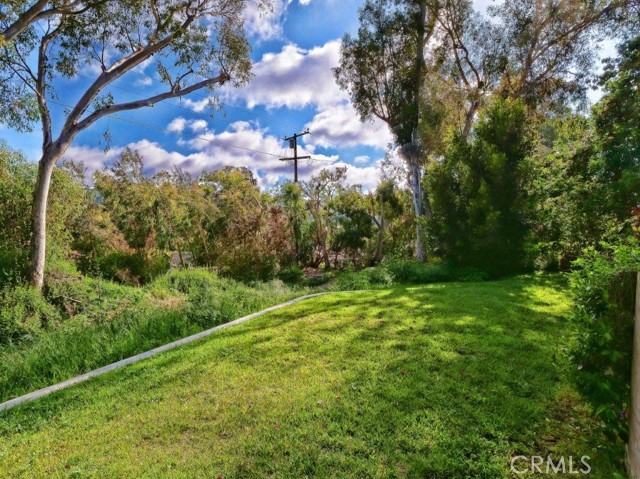 Backyard Grassy Area