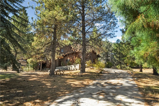 Property Photo 45