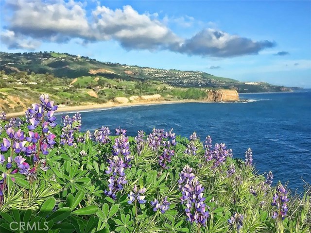 32679 Seagate Drive, Rancho Palos Verdes, California 90275, 2 Bedrooms Bedrooms, ,Residential,Sold,Seagate,PV19107697