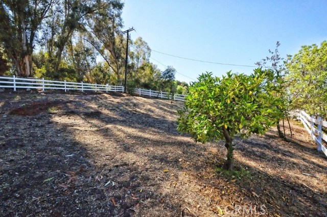 2676 Palos Verdes Drive, Rolling Hills Estates, California 90274, 5 Bedrooms Bedrooms, ,3 BathroomsBathrooms,Residential,Sold,Palos Verdes,PV19035401