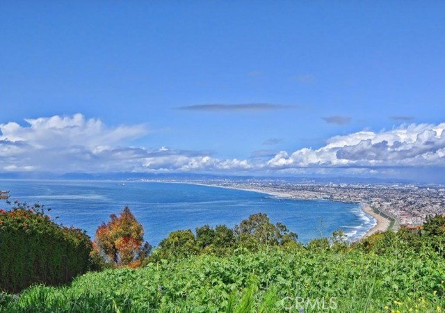861 Rincon Lane, Palos Verdes Estates, California 90274, 6 Bedrooms Bedrooms, ,3 BathroomsBathrooms,Residential,Sold,Rincon,PV19055909