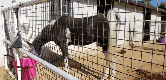 26728 Westvale Road, Palos Verdes Peninsula, California 90274, 3 Bedrooms Bedrooms, ,3 BathroomsBathrooms,Residential,Sold,Westvale,PV19231634